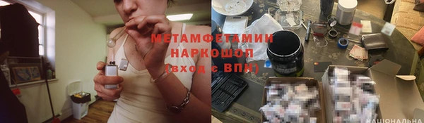 PSILOCYBIN Михайлов