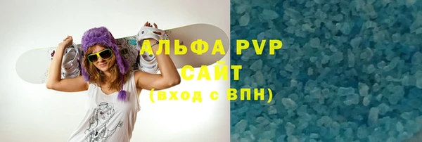 PSILOCYBIN Михайлов